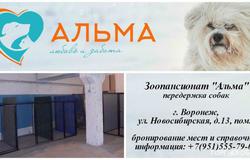 Предлагаю: ЗООПАНСИОНАТ ДЛЯ СОБАК 