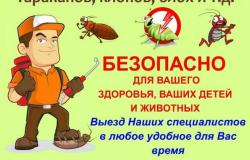 Предлагаю: Уничтожение насекомых  в Братске - объявление №674238
