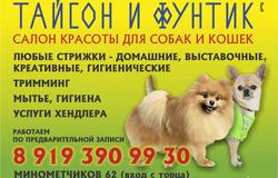 Предлагаю: Стрижка собак и кошек в салоне в Екатеринбурге - объявление №86676