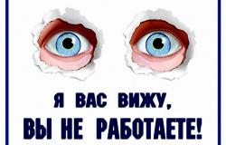 Предлагаю работу : Личный помощник ( обучу сам ) в Новосибирске - объявление №989807